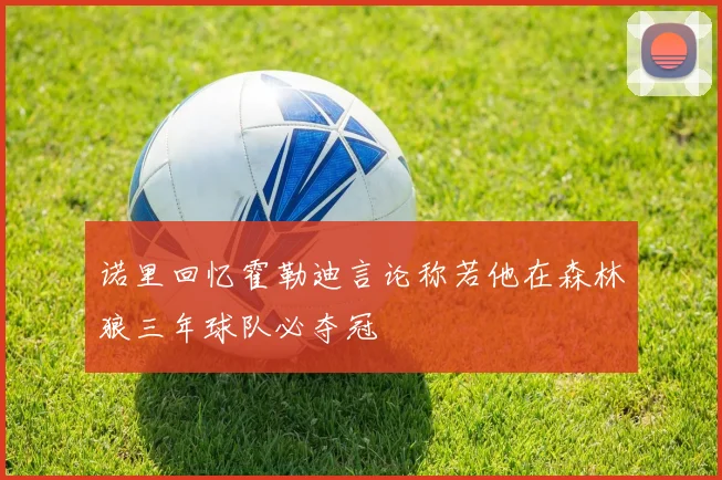 诺里回忆霍勒迪言论称若他在森林狼三年球队必夺冠
